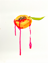 Load image into Gallery viewer, Ripe or Rotten 11 x 14 Unframed Peach Study