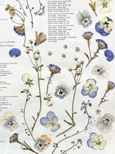 Load image into Gallery viewer, Musical Bouquet