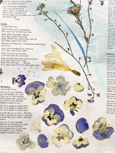 Load image into Gallery viewer, Musical Bouquet