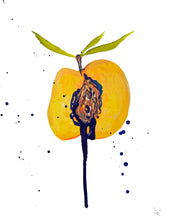 Load image into Gallery viewer, Ripe or Rotten 8 x 10 Unframed Peach Study